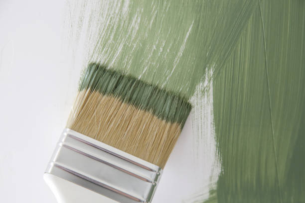 Best Attic Mold Removal  in Combined Locks, WI