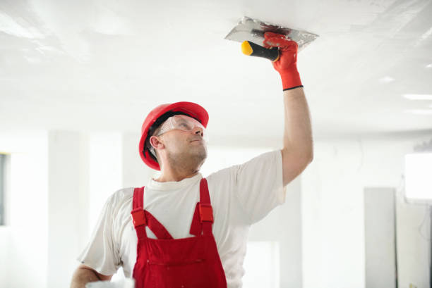 Mold Odor Removal Services in Combined Locks, WI