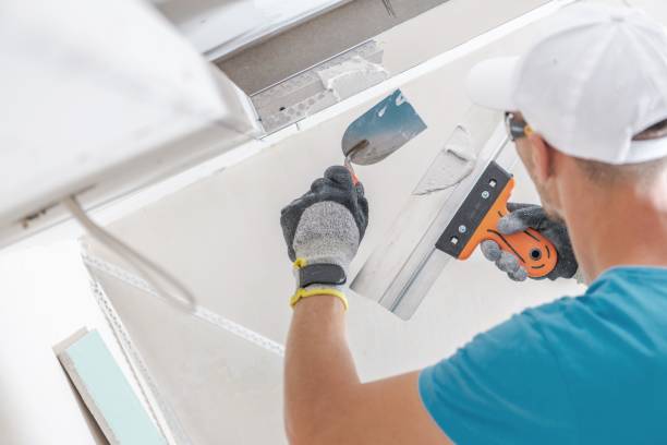 Best Basement Mold Removal  in Combined Locks, WI